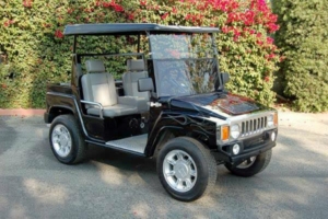 affordable golf cart rental, golf cart rent san jose